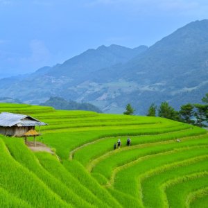 A 10 day trip from Hanoi to Thanh Son -Mu cang Chai- Sapa -Hanoi