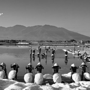 A busy salt harvest season