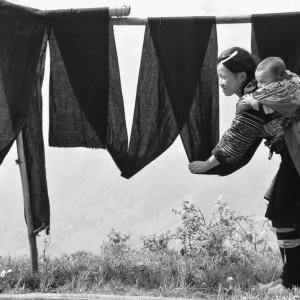 Catching the sunlight