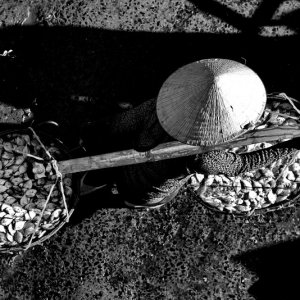 Heading to the market