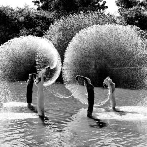 Musical note on the river