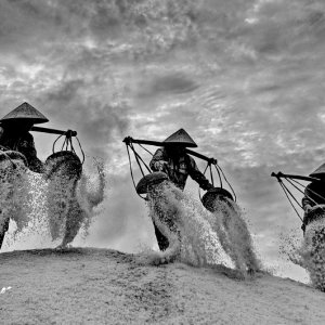 Musical notes on the salt field