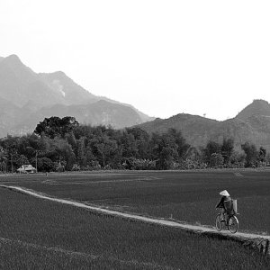 On the way home-Photo taken 10th-Aril-2010 By Mai Loc