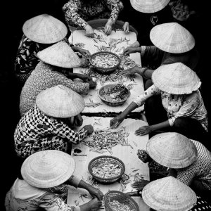 The daily works at a fishing village-Photo taken 11th-July-2014 By Mai Loc