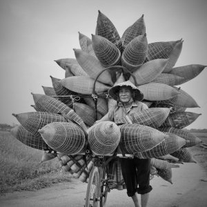 The fish trap seller