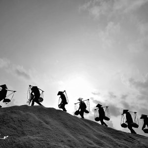 The rhythm steps on the salt field