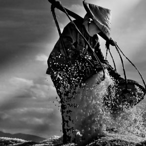 The salty life -Photo taken 11th-August-2012 By Mai Loc