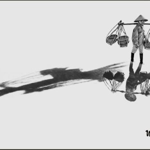 The shadow and the reflection of life