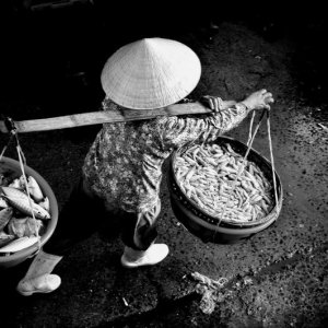 The steps of life -Photo taken 02nd-March-2014-By Mai Loc