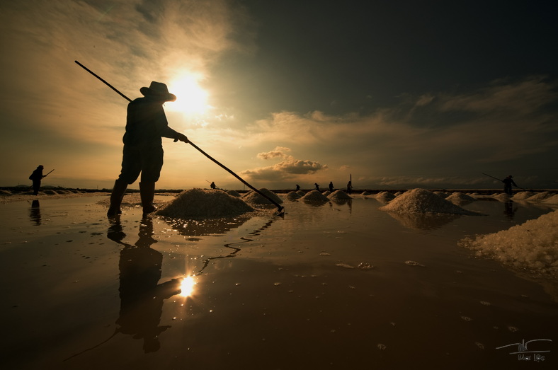 07- Salt harvest