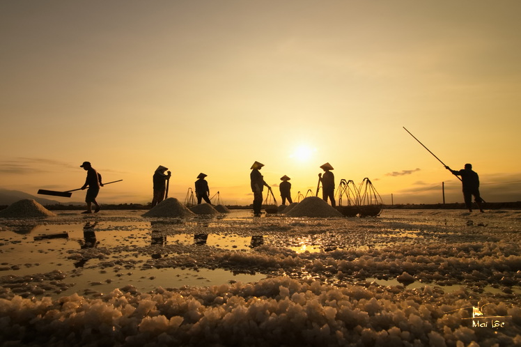 08- Salt harvest season