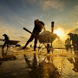 01- A full day photography tour around Nha trang