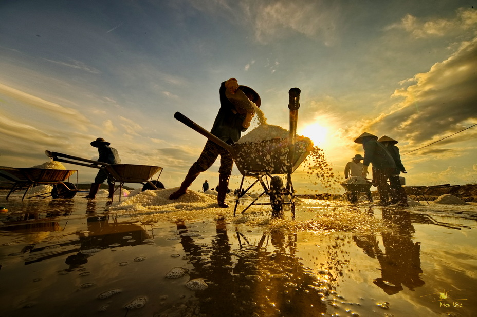 09- Salt harvest