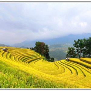 9. A 10 day photography trip from hanoi to Thanh Son-Mu Cang Chai-Sapa-Hanoi